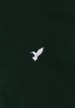 Pier One 5 PackT-Shirt BasicWhite/Ark Green/Blue Uomo T-shirt E Polo PI922O0TV-A14 21 Pier One 5 PackT-Shirt BasicWhite/Ark Green/Blue Uomo T-shirt E Polo PI922O0TV-A14 -Pier One 19822f95d4c243b5a7cfa8d503e23581