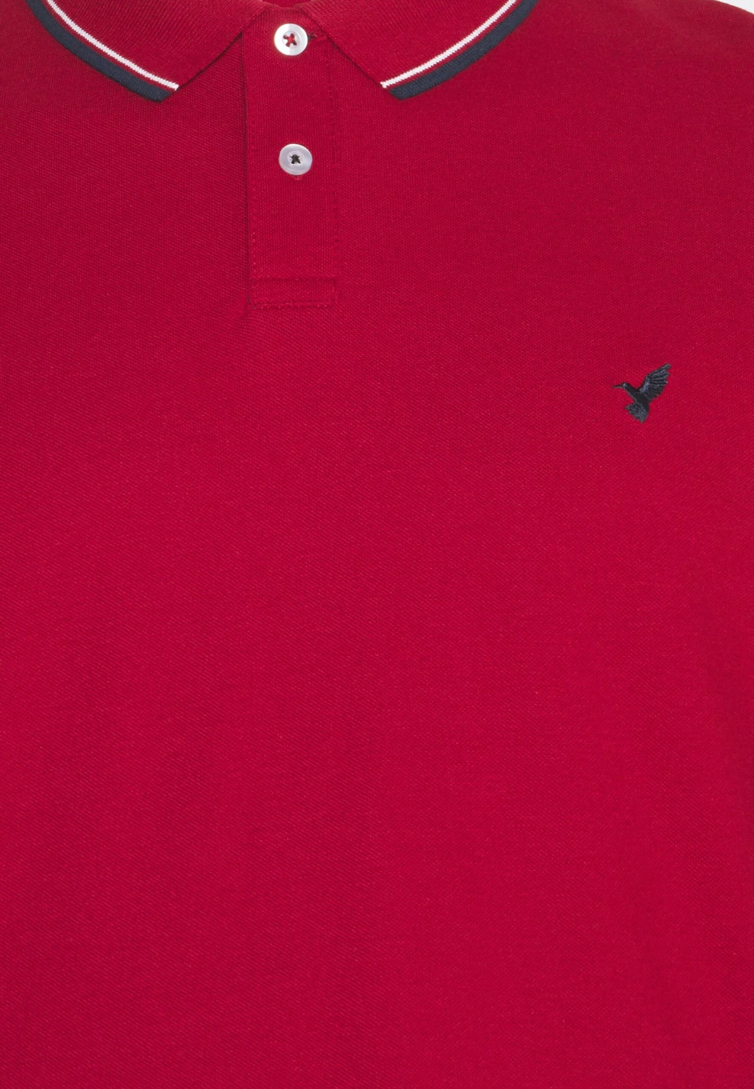 Pier One PoloRed Uomo T-shirt E Polo PI922P06V-G11 5 Pier One PoloRed Uomo T-shirt E Polo PI922P06V-G11 - immagine 3